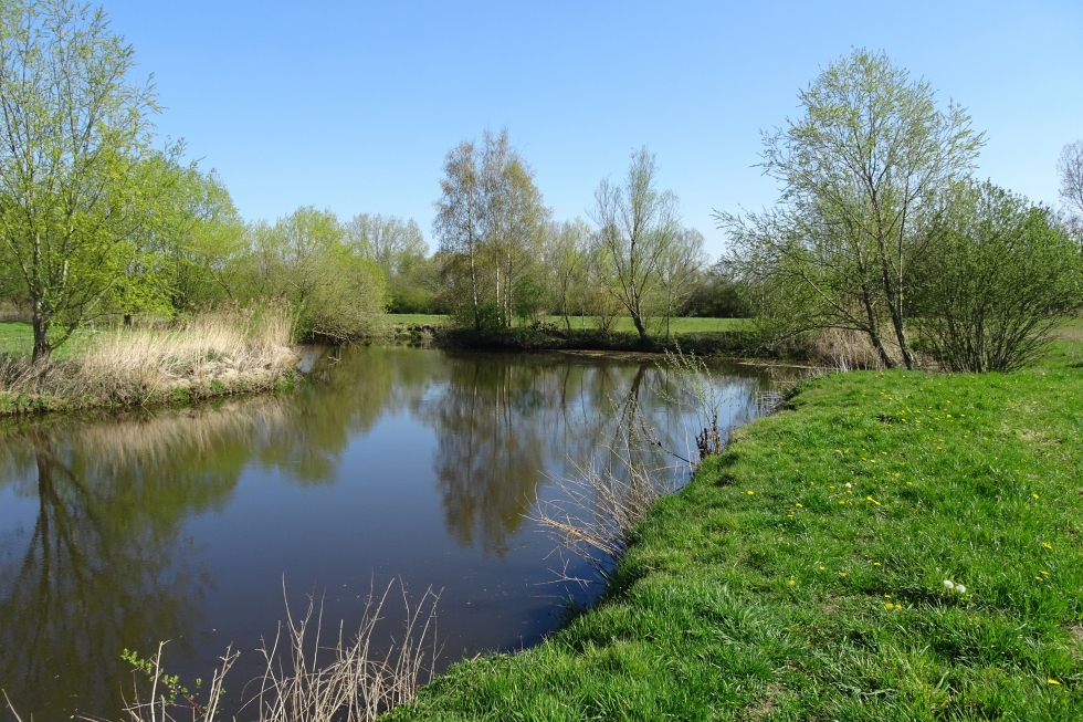 De Dommel in Liempde, historie, ecologie en biologie